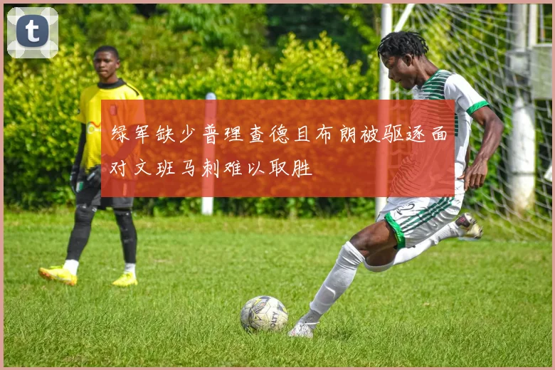 绿军缺少普理查德且布朗被驱逐面对文班马刺难以取胜